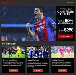 Bovada Sportsbook Review 2023 | Betting On Soccer At Bovada